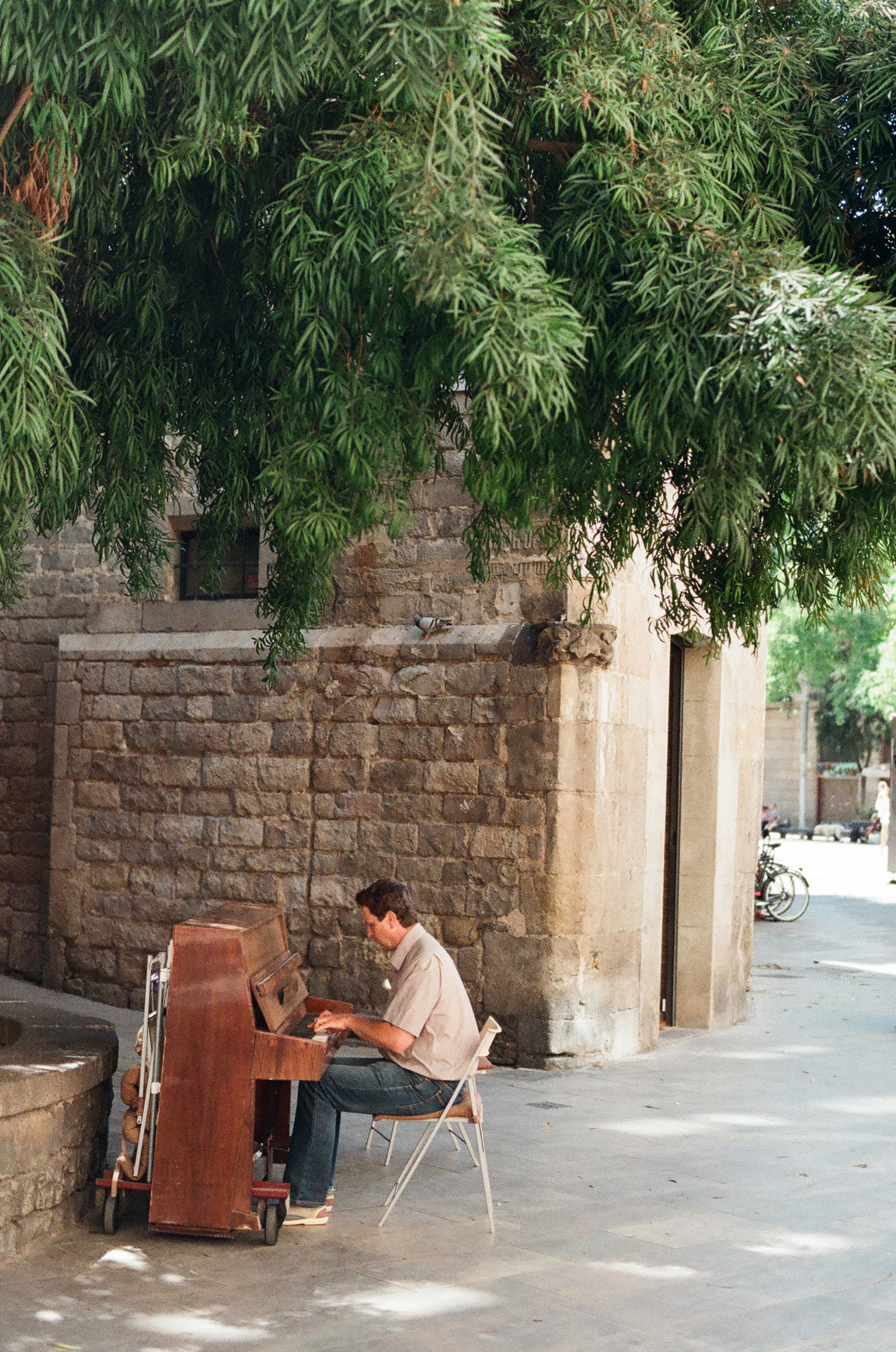 BCN20